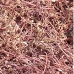 Brahmi,  nir Brahmi , jal Brahmi Bulk