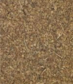 Ajmoda seeds