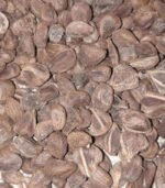 Vidhara, Hawaiian Baby Woodrose Seeds, Bidhara Asli, Vidhara Seeds, Vruddhadaru - Image 2