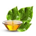 Betel leaf oil bulk